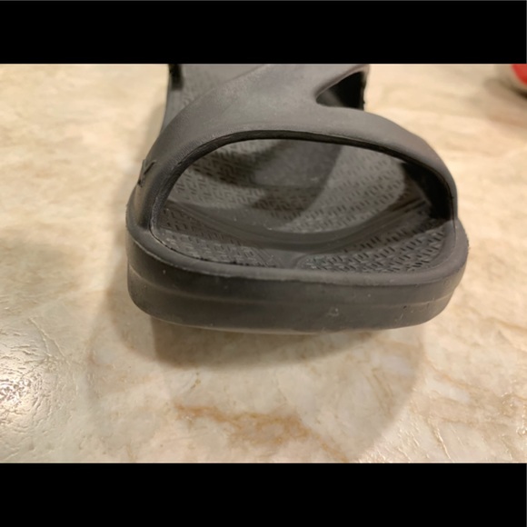 Telic - Picture 10 of 15